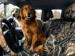 Realtree waterproof camo seat covers on front bench with matching wheel cover, woodland grass and branch print with two dogs.