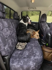 Two dogs sitting on a rear bench seat protected by Kryptek® "Typhon" camo seat covers, demonstrating the heavy-duty, pet-friendly durability of the material.
