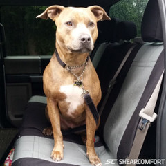 CORDURA 1000 Denier Xtra-Duty Seat Covers with a dog on the seat, tough fabric for pets and everyday use.