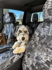 A fluffy dog sitting on the center console of a truck, with front seats protected by custom-fit Kryptek® Waterproof Camo seat covers in the tactical "Typhon" pattern.