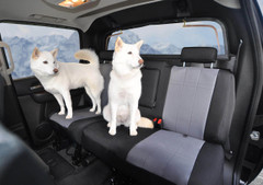 CORDURA 1000 Denier Xtra-Duty Seat Covers installed on rear bench seat, two-tone black and gray full coverage.