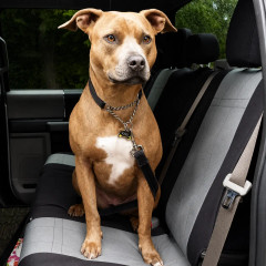 CORDURA 1000 Denier Xtra-Duty Seat Covers with a dog on the seat, tough fabric for pets and everyday use.