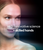 https://d11q81s6rd7fkz.cloudfront.net/digital_marketing_packages/260424_EVOLYSSE_CBM_DIGITAL-AD-TEMPLATE_4.mp4