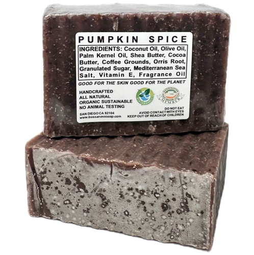 PUMPKIN SPICE 6 OZ SOAP