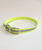 Neon Yellow