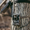 Reveal Ultra Cellular Trail Camera by Tactacam