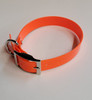 1" D Ring Only Sunglo Collar (25")