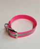 1" D Ring Only Reflective Sunglo Collar