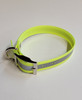 1" D Ring Only Reflective Sunglo Collar