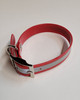 1" D Ring Only Reflective Sunglo Collar