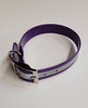 1" D Ring Only Reflective Sunglo Collar