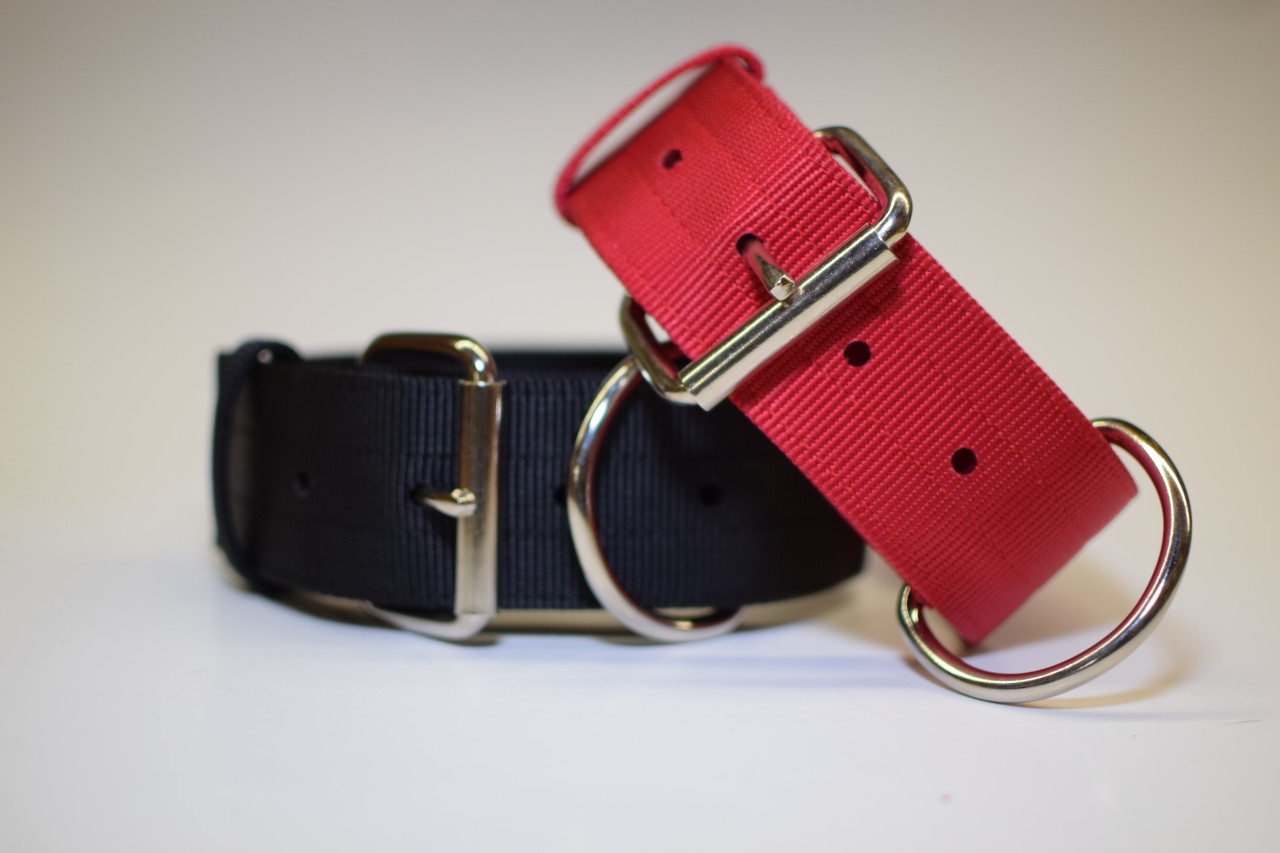 2" Wide Nylon Collar 