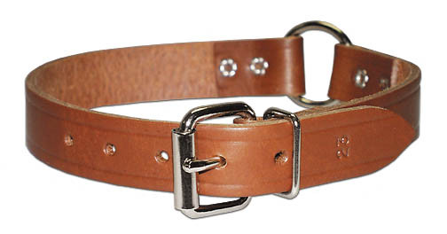 1" Leather Bully Collar w/ O ring 19"-23"