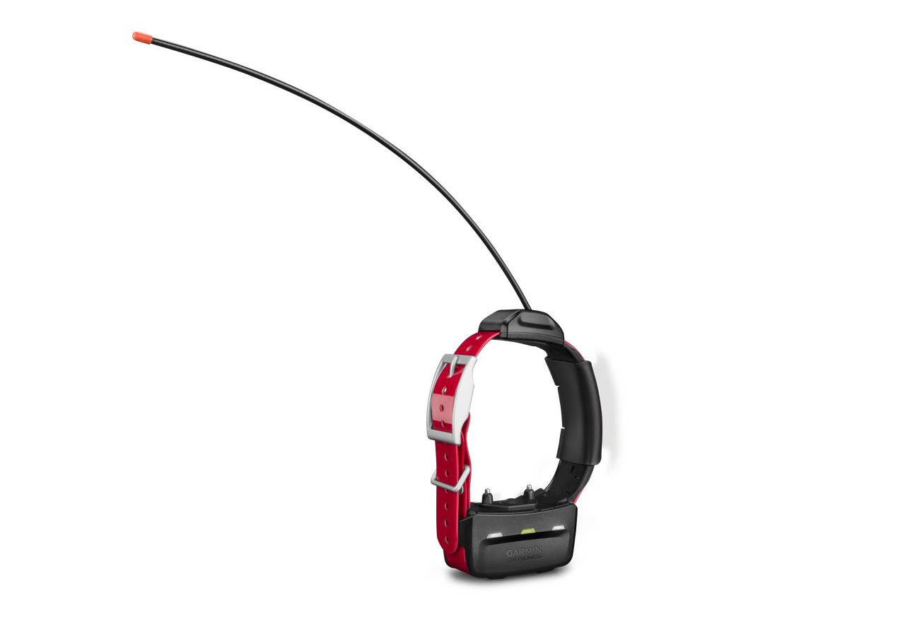 Garmin TT-15X Collar
