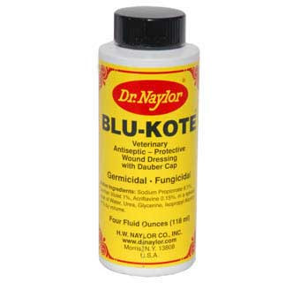 Dr. Nalor Blue Kote (4oz Dauber)