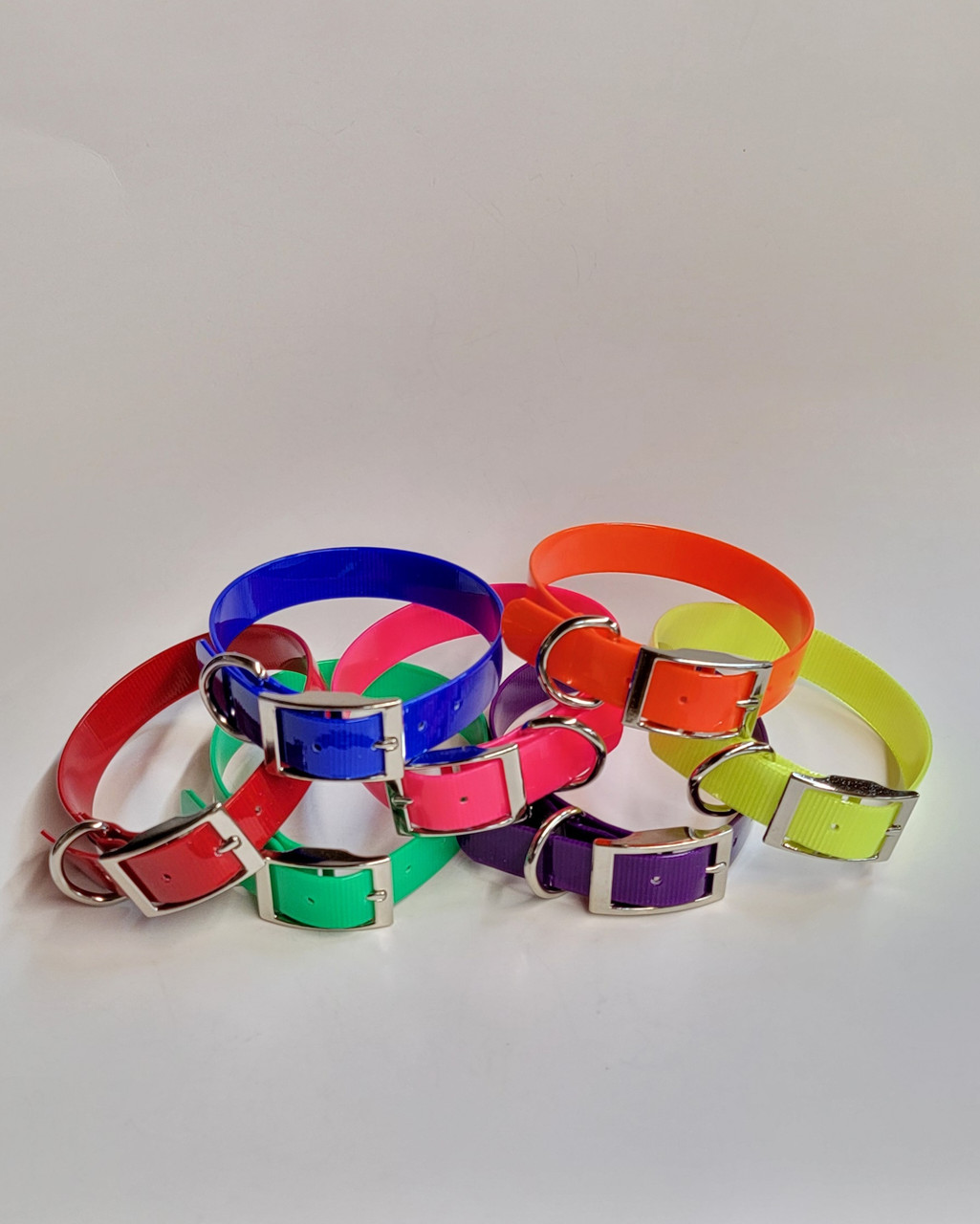 1" D Ring Only Sunglo Collar (25")