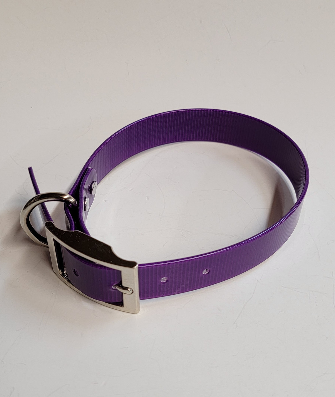 1" D Ring Only Sunglo Collar