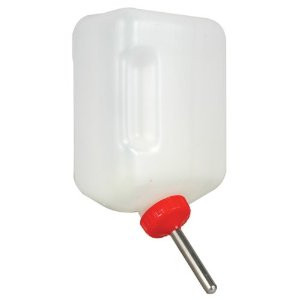 hunting dog water bottle