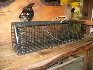 Small Spring Loaded Trap