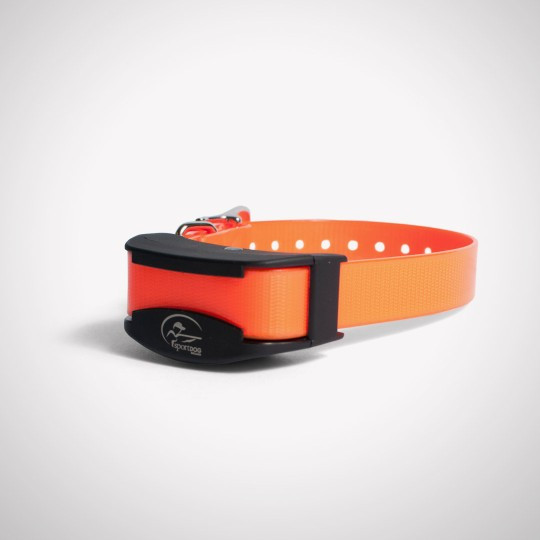 SDR-AF Add a dog collar