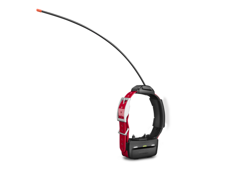 Garmin TT-15X Collar