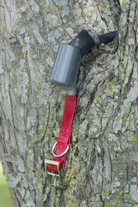 Johnson 16000 Hour with tree switch