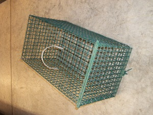 Transport Cage for Coons