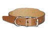 17" Beagle Collar with Roller Buckle and Space For Name tag