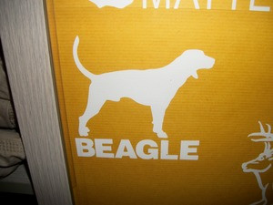 Beagle Window Decal