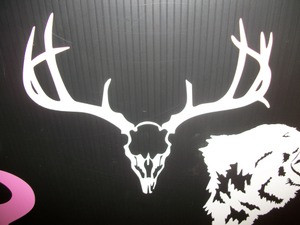 Deer Skull Window Decal (Large)
