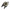1338083-Genuine Replacement Carburettor