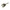 OIL PLUG for P3500PWA-E17