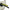1328017-Genuine Replacement Fuel Tank Assembly