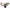 1359004 - Genuine Replacement Throttle Handle
