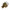 PAC002810 - Genuine Replacement Screw Type 3/8INCH FNPT 85.300.125