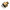 PAC002810 - Genuine Replacement Screw Type 3/8INCH FNPT 85.300.125