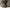 1001054 - Genuine Replacement Engine Assembly