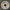 1543014 - Genuine Replacement Right Wheel