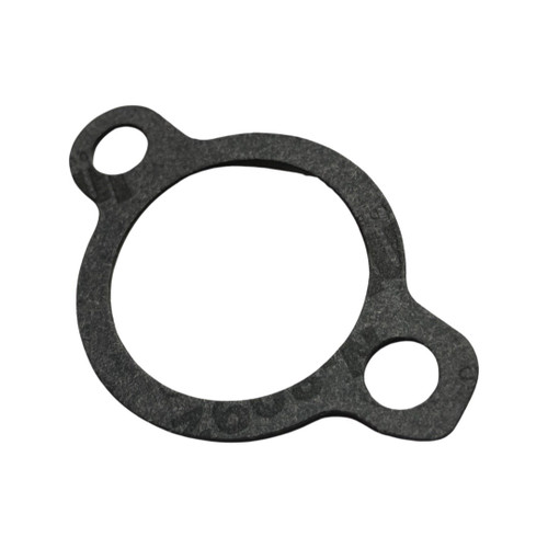 1017147 - Genuine Replacement Intake Gasket