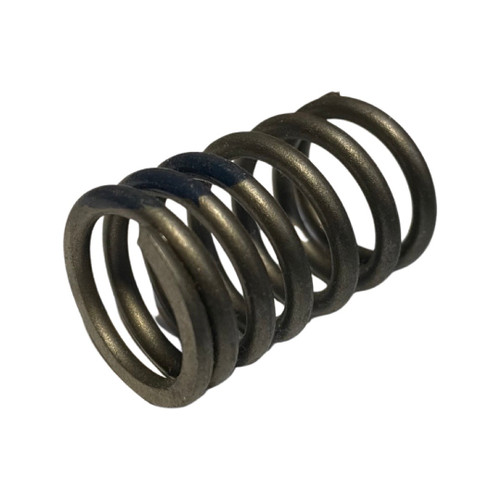 Valve Spring