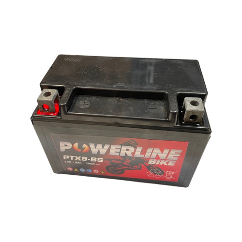 1310038 - Replacement Battery