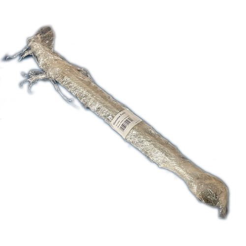 1613040 Self Tapping Screw