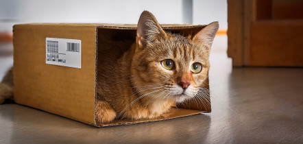 Cat sent in the post!!!!