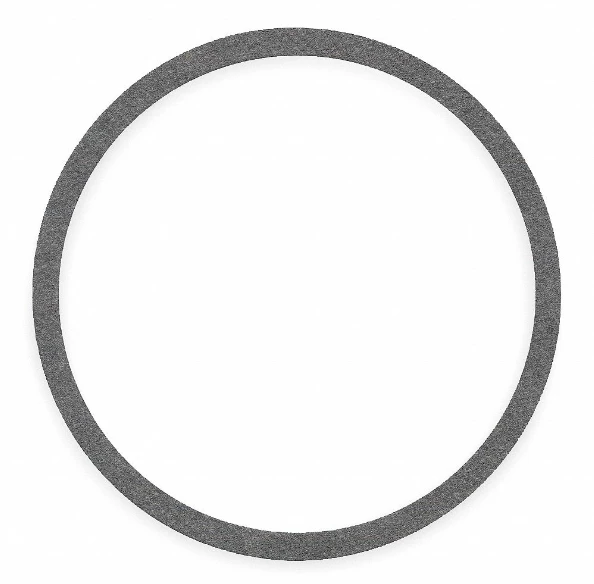 52-260-269-005 Bell & Gossett Series eHSC/HSC-S Casing Gasket
