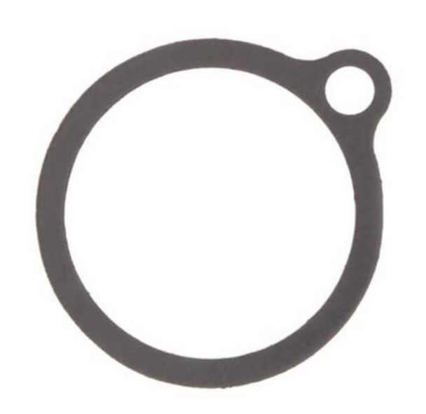 A21825-1 Armstrong Model 811 Series Body Gasket