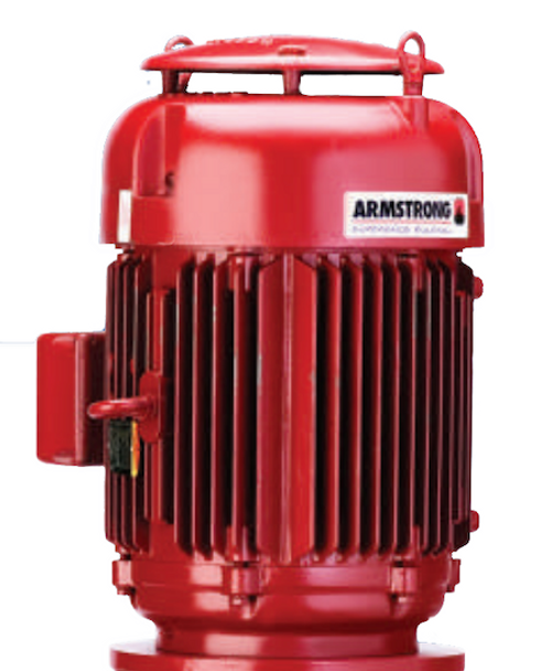 84300540-083 Armstrong Series 4300 Motor 30HP 286TC