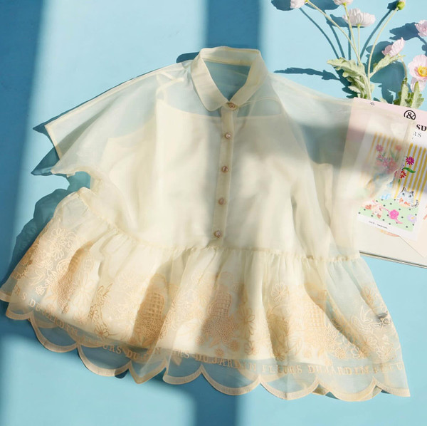 Embroidered Chiffon Blouse