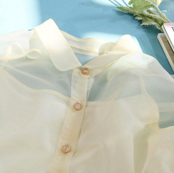 Embroidered Chiffon Blouse
