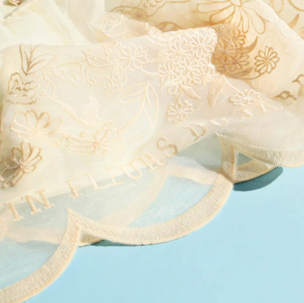 Embroidered Chiffon Skirt