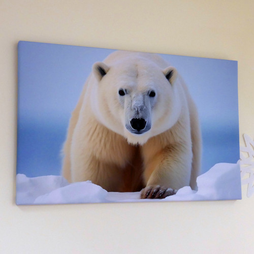 Polar Bear Wall Canvas